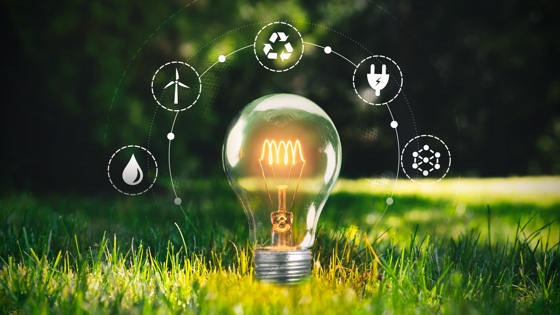 Why Africa's Renewable Energy Companies Need Software Built for Them